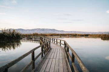 Fototapeta na wymiar Wooden bridge with calm water on the sides in the natural park called 'El Hondo' in Elche at sunset. Elche, Alicante, Spain
