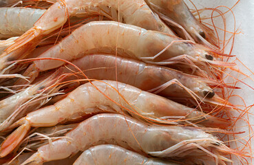 Gambas frescas de Huelva.