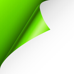 Green paper curl. Curled page corner with shadow. Blank sheet of paper. Colorful shiny foil. Design element for advertising and promotion. Vector illustration.