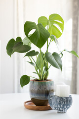 Monstera plant potted in a pretty ceramic pot next to a little pot with a candle inside.