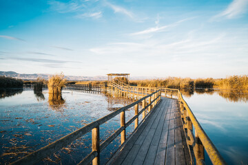 Long wooden bridge surrounded by water and reeds in the natural park 