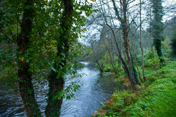 Obraz premium Río Eo, San Tirso de Abres, Asturias