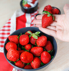 Fresa fresca de temporada
