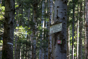Sentier de randonnée balisé par le Club Vosgien