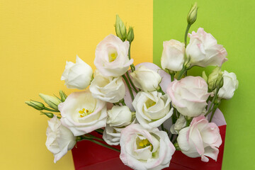 Eustoma flowers with envelope on colorful background.Opened envelope with white flowers arrangements.Festive greeting concept.bright fresh composition
