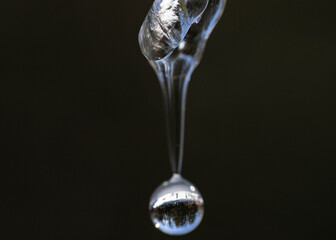 drop on a black background