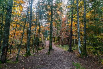 Couleurs d'automne le long du chemin d'accès au belvédère du saut du Doubs, une cascade à la frontière entre la France et la Suisse