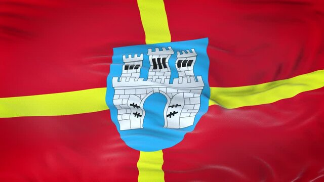 Zhytomyr Oblast (province of Ukraine) flag waving in the wind with highly detailed fabric texture. Seamless loop