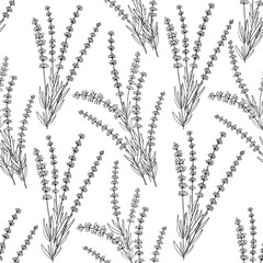 Lavender seamless pattern black and white vector illustration