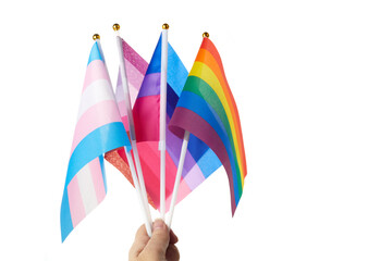 Fototapeta na wymiar Zero Discrimination Day. Hand with different rainbow flags.