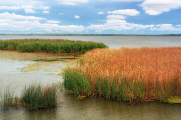 Landscape at lake Tisza, Hungary