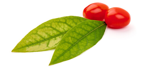 Bay leaves, isolated on white background