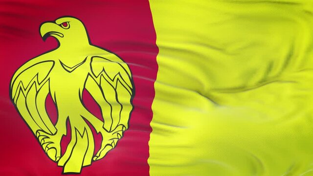 Kirovohrad Oblast (province of Ukraine) flag waving in the wind with highly detailed fabric texture. Seamless loop