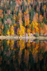 Paysage d'automne au barrage du Châtelot, sur le cours du Doubs à la frontière entre la France et la Suisse