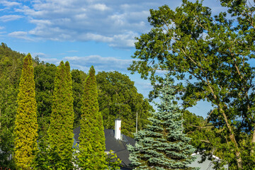 Fototapety na wymiar - Fototapeta24.pl