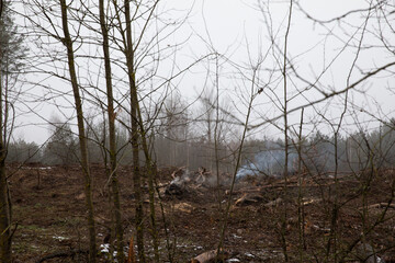 There is smoke from a log fire on a cut-down clearing in the forest.