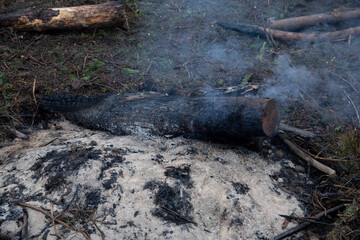 Obraz premium There is smoke from a log fire on a cut-down clearing in the forest.
