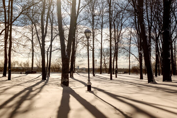 Winter, snowy morning in the Gomel park, Belarus.