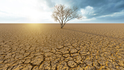 Concept or conceptual desert landscape with a parched tree as a metaphor for global warming and climate change. A warning for the need to protect our environment and future 3d illustration - obrazy, fototapety, plakaty