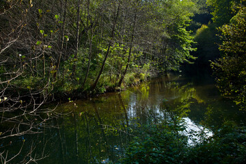 Río Pisueña, Puente del Diablo,Cuenca del Pas, Cantabria.