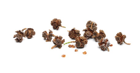 Small cones Redwood isolated on white background