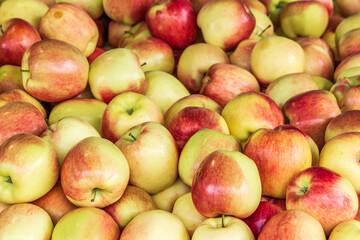 fresh organic apples close up at market for background