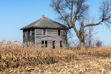 An old abandoned house stands surrounded by cornfields. Most of the windows have been broken, but...