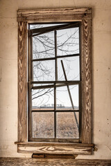 A large, double hung window in an abandoned house looks out over corn fields. The window is falling apart