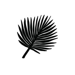 Vector hand drawn palm leaf silhouette isolated on white background