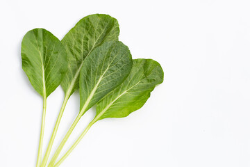 Choy Sum on white background. Copy space