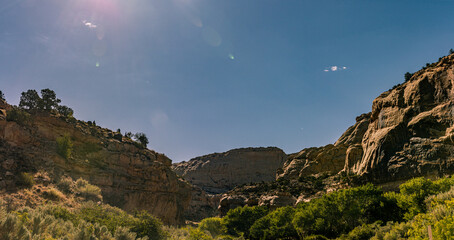 Sandy rocks with green trees at sunny day in capitol reef national park in Utah, america