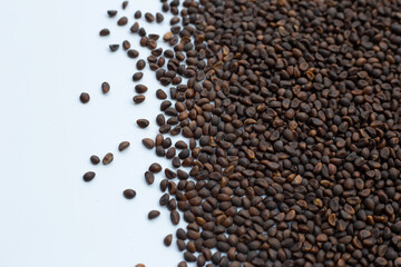 Fototapeta premium Black seed of morning glory