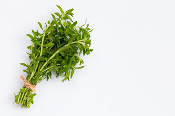 Fresh paddy rice herb on white background.