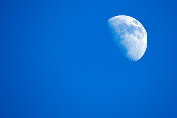 Crescent moon // Halbmond // Croissant // Halvemaan
21.02.2021