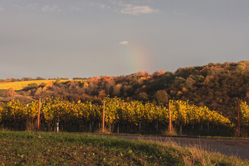 autumn landscape of moravian tuscany before sunset