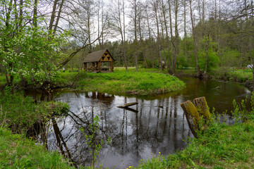 Forests of Belarus, National Park Narochansky Krai