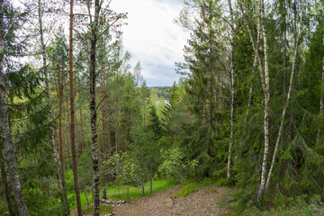 Forests of Belarus, National Park Narochansky Krai