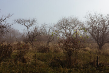 Obraz premium autumn landscape of moravian tuscany before sunset