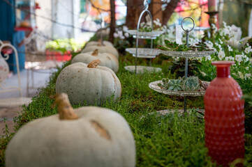 Many pumpinks on display made of table with plants growing from it.