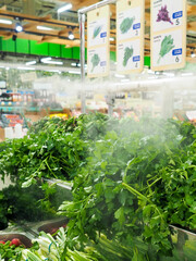 Kitchen herbs in supermarket baskets with steam irrigation system to keep vegetables fresh. The inscriptions in Russian mean: fresh mint, parsley, dill, basil, onion, cilantro.