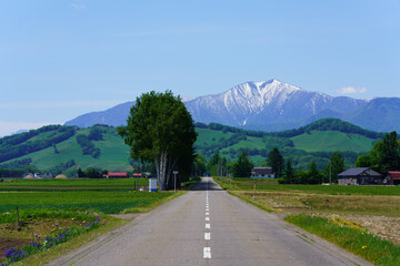 直線道路