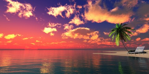 Beautiful beach with a palm tree at sunset, Sea sunset, ocean sunset, sun over water, sunny path on water, wild snowy coast at sunset, 3D rendering