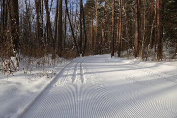 Ski trail in winter forest