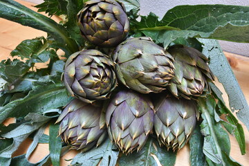 Carciofo, tipica pianta mediterranea. E' una pianta della famiglia Asteraceae coltivata in Italia e...