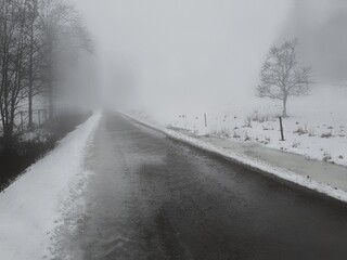 road in the fog - Bogstad Gård 