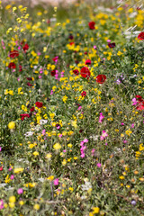 jardín templo Poseidón  