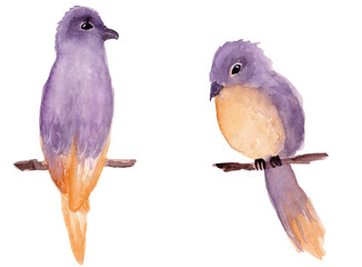 Watercolor set of two birds, executed in purple and yellow colors, isolated on a white background