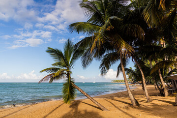 Obraz na płótnie Canvas Beach in Las Terrenas, Dominican Republic