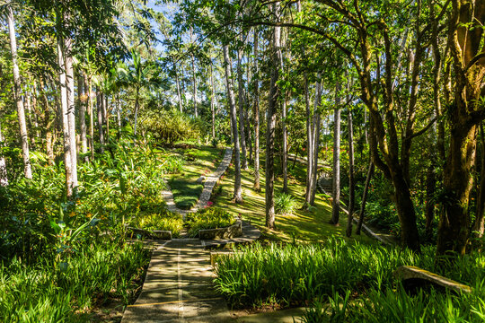 Botanical gardens at the Pico Isabel de Torres mountain above Puerto Plata, Dominican Republic