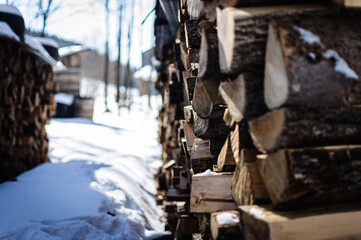 firewood in the snow
